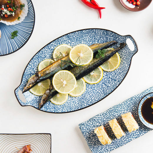 摩登主妇 日式陶瓷餐具盘子双耳鱼盘菜盘和风日料寿司盘子牛排盘 商品图0