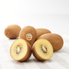 新西兰Zespri 佳沛金奇异果 商品缩略图4