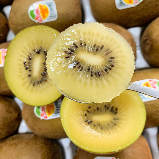 新西兰Zespri 佳沛金奇异果 商品图1