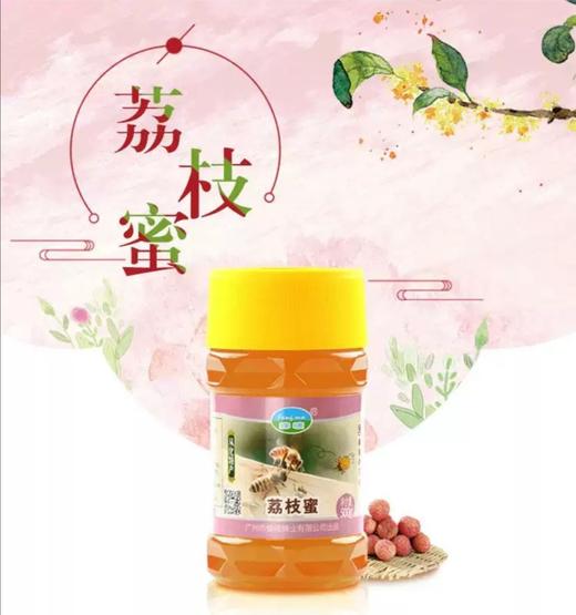 广东老字号蜂唛荔枝蜜500克 商品图2