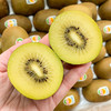 新西兰Zespri 佳沛金奇异果 商品缩略图0