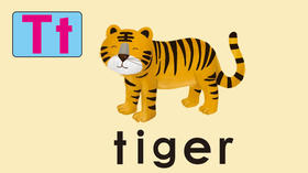 tiger