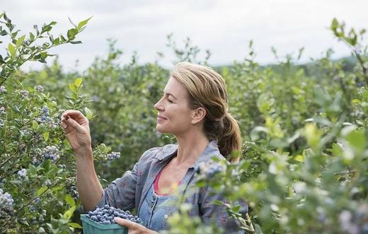 加拿大蓝莓酒 甜型 传统工艺 木桶酿造 入口全是花青素 原装原瓶进口 |百里食 商品图1
