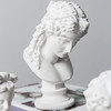摩登主妇 大卫石膏雕像现代家居简约复古创意雕塑人头像装饰摆件 商品缩略图3