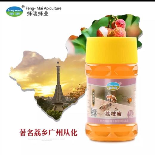 广东老字号蜂唛荔枝蜜500克 商品图1