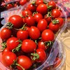 玲珑千禧小番茄，肉厚皮薄，咬一口，清甜的果汁马上喷涌而出。浓郁原始又清爽的番茄滋味爽口又怡人～好吃！停不下来！ 商品缩略图4