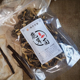 禾子丰物 鹿茸菌80g