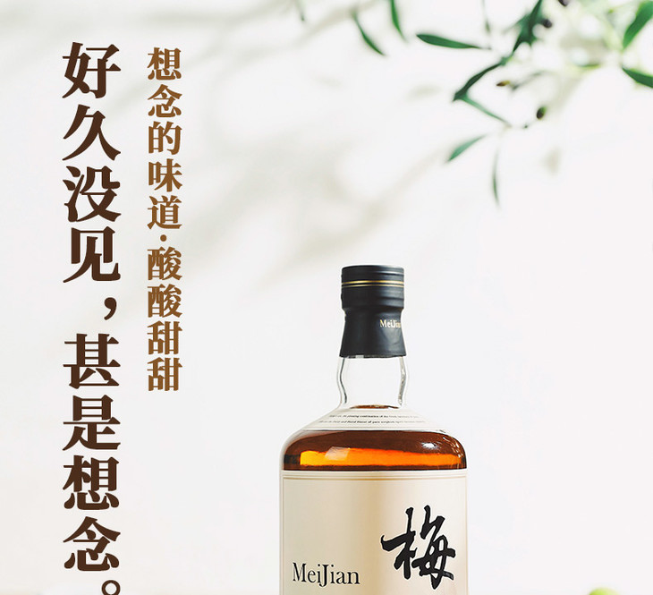 12江小白梅见青梅酒750ml
