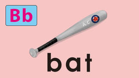 bat