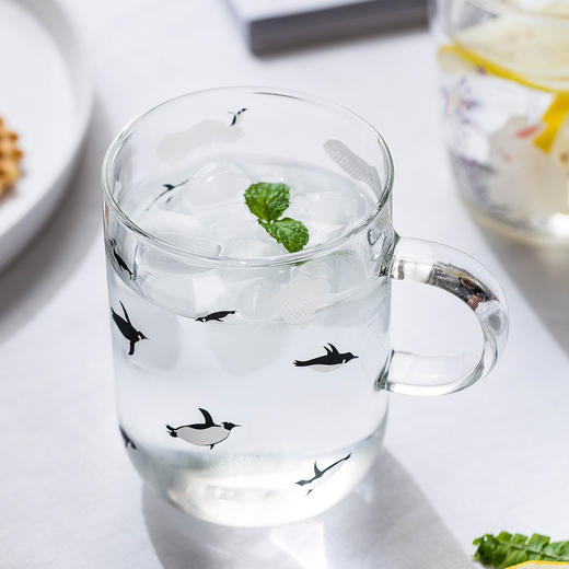 摩登主妇 水杯简约家用清新可爱森系创意透明玻璃杯带把杯子茶杯 商品图1