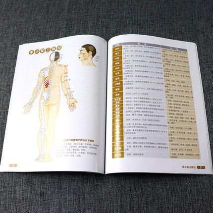 人体经络穴位使用图册 商品图2
