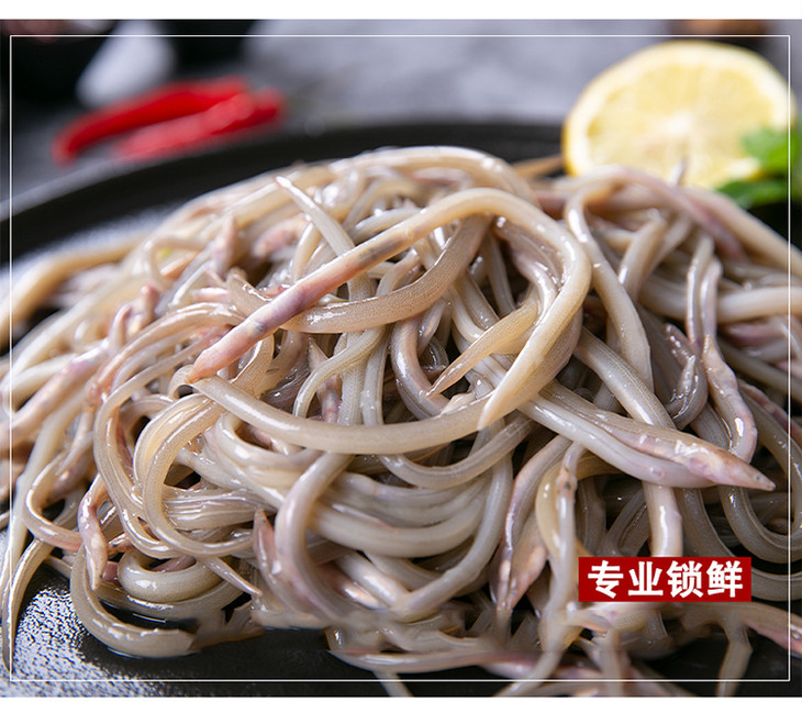 野生海捕鳗鱼仔1份约220g