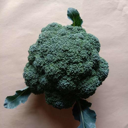 西兰花 商品图0