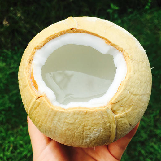 新鲜椰皇到啦，最大颗粒，打开一汪清泉，都溢出来了，挂在树上的天然饮品，喝一口，香甜到心底，补充电解质，补水神器~ 商品图0