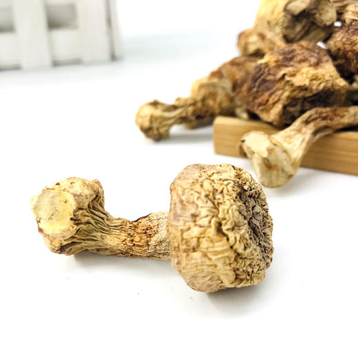 「厦航特供」古田十方优品 姬松茸100g 食用菌 干货 商品图4