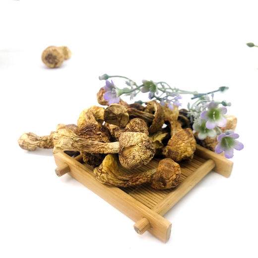 「厦航特供」古田十方优品 姬松茸100g 食用菌 干货 商品图2