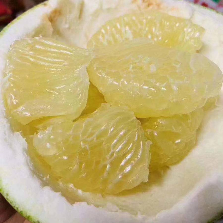 柚子粒