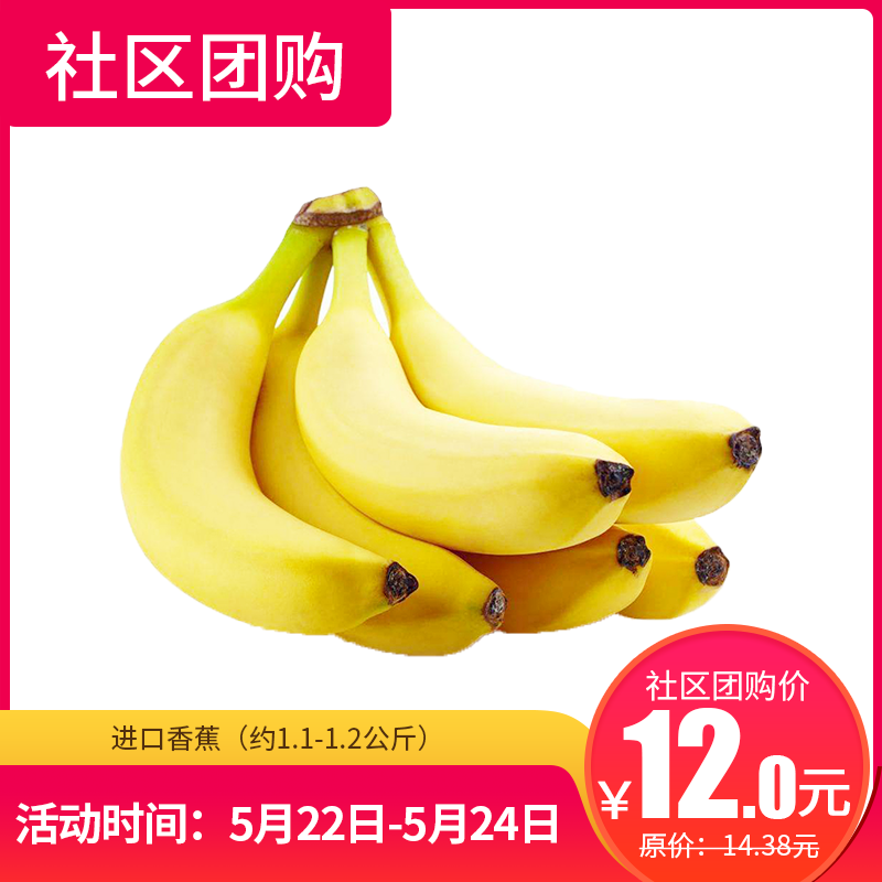 【社区团购】进口香蕉（约1.1-1.2公斤）9141