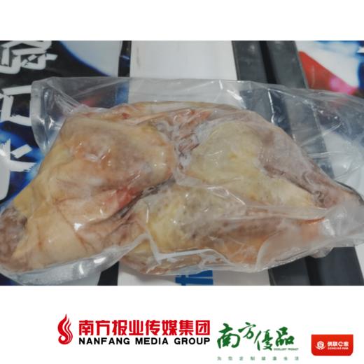 【广东省包邮】 雪毛鸡 2.5斤±2两/只（72小时之内发货) 商品图1