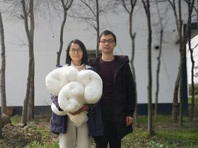 农友直发｜梅和鱼手工蚕丝被，下单后2-5天发货，请耐心等待！