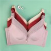 【秒杀品不退不换】皇家丽美光面无钢圈调整型文胸聚拢收副乳圆润好胸型WW1699-3 商品缩略图2