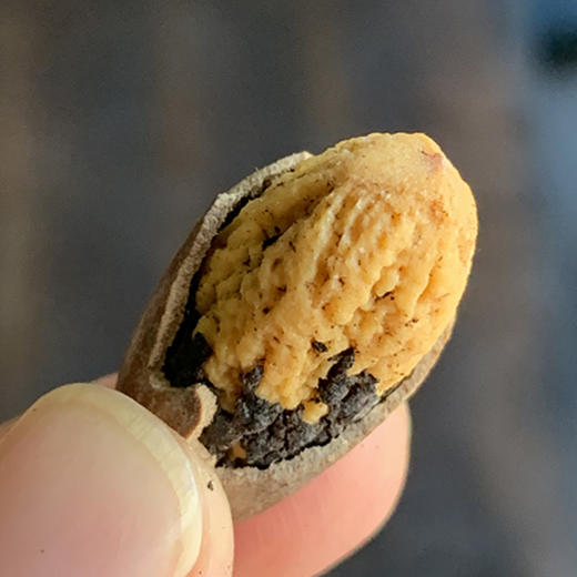 诸暨枫桥香榧子  |  新果,日期新鲜，味道正宗！ 商品图1