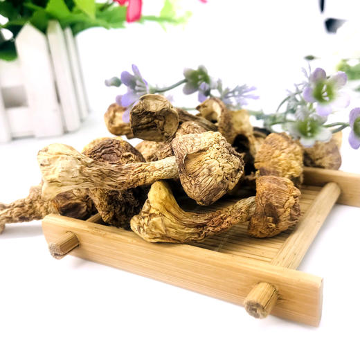 「厦航特供」古田十方优品 姬松茸100g 食用菌 干货 商品图1