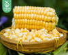 【叼鲜蔬】漳州新鲜甜玉米/1份（1.5kg±100g） 商品缩略图2