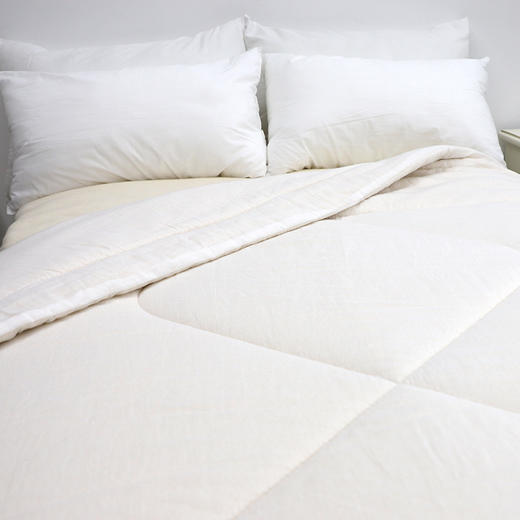 （电商）宝龙纺织千层棉绗缝被2.0*2.3M 4.1-4.5斤/床（厂家直发） 商品图3