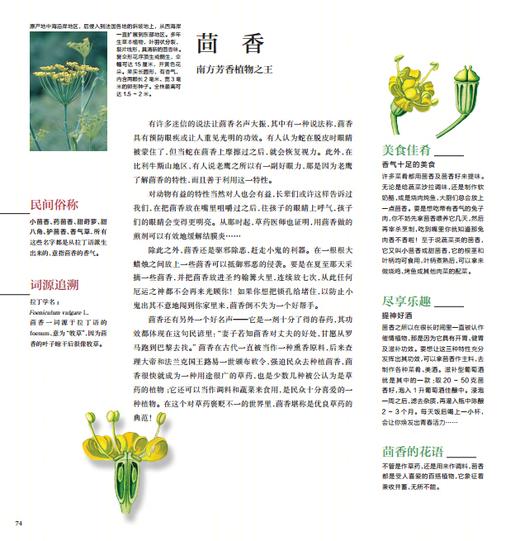 《花草物语：被遗忘的植物》（精装） 商品图5