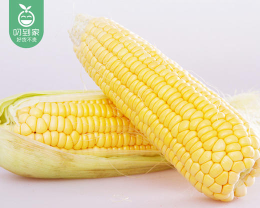【叼鲜蔬】漳州新鲜甜玉米/1份（1.5kg±100g） 商品图1