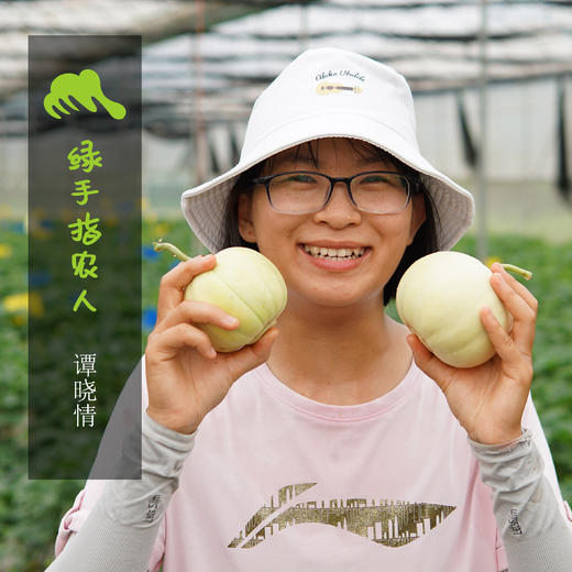 有机香瓜 | 绿家自产* Organic melon | Self-production 商品图0