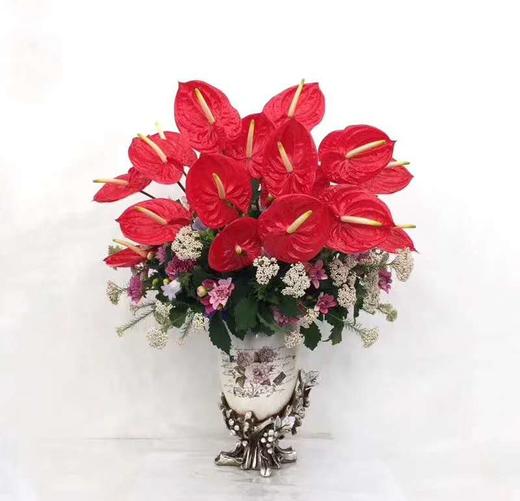 【海南红掌】热情 多规格  单枝 商品图0