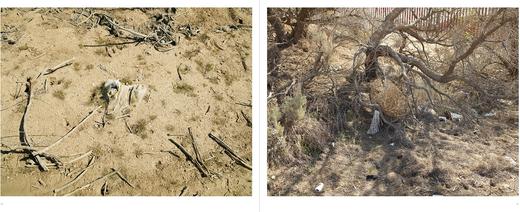 【现货】Richard Misrach：Border Cantos，边境诗篇 摄影集 商品图1