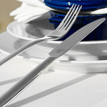 双立人（ZWILLING） 双立人阿伯丁Aberdeen西餐具 刀叉套装 咖啡勺 8件套 商品图3