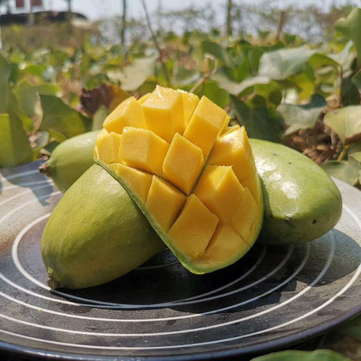 滇果果优选|新鲜鹰嘴芒 皮薄多汁,香甜嫩滑,垂涎欲