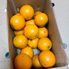 【全国包邮】富硒清山橙（72小时之内发货） 商品缩略图7