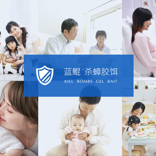 【3盒装】蓝鲲杀蟑胶饵方便贴3.8g 灭蟑螂药 商品图1