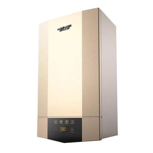 A.O.史密斯零冷水型采暖/热水两用炉 L1PB-V9 商品图2