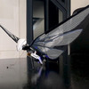 法国BionicBird MetaFly仿生昆虫遥控飞行器 商品缩略图6
