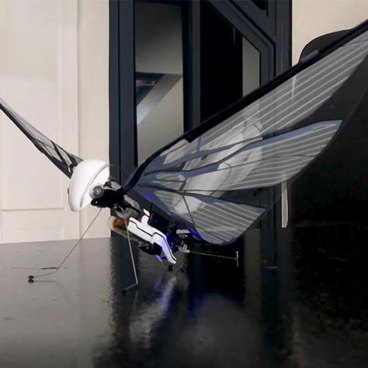 法国BionicBird MetaFly仿生昆虫遥控飞行器 商品图6