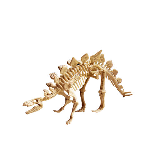 恐龙骨头架子图片