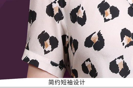 WXY-2060真丝豹纹连衣裙2020新款夏V领收腰显瘦A字裙 商品图5