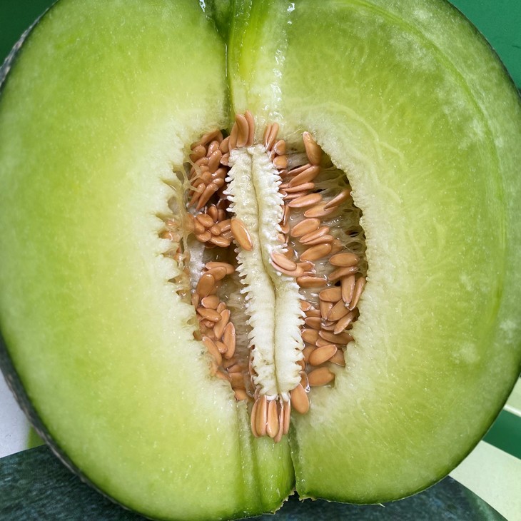 芳香雅洲蜜网纹瓜1件56个