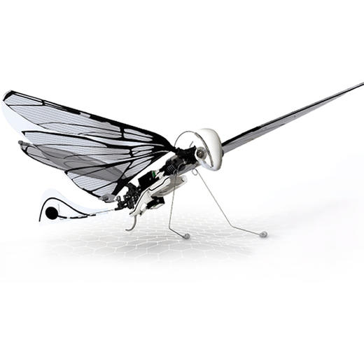 法国BionicBird MetaFly仿生昆虫遥控飞行器 商品图5