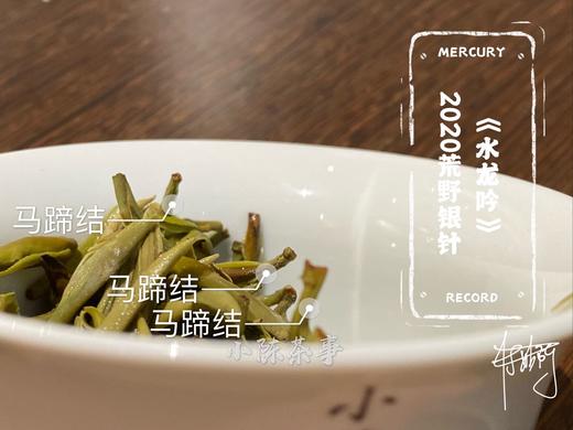 2020荒野银针《水龙吟》来了，露寒烟冷蒹葭老（一斤收藏装） 商品图10