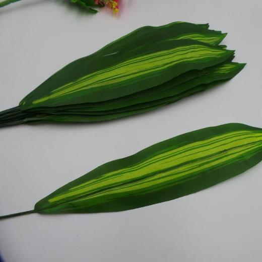 配叶-巴西叶-10枝/扎 商品图0