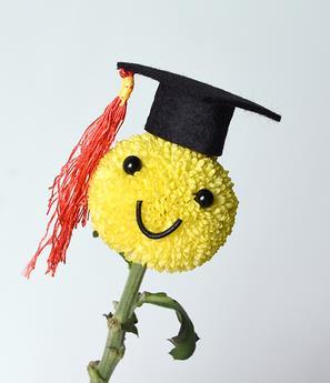 【表情包2】乒乓菊卡通创意花束套装（5套/包） 鲜花胶 商品图10