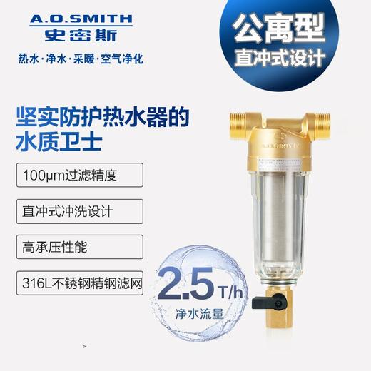 A.O.史密斯前置过滤器 PF25C1 商品图0