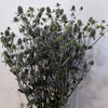 配花-刺芹-2到3支 商品缩略图1